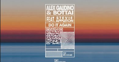 Alex Gaudino & Bottai, Stevie Appleton - Do It Again