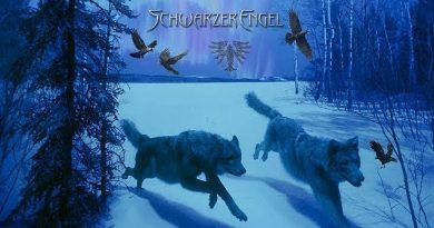 Schwarzer Engel — Wintertod