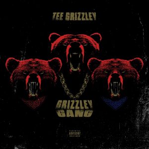 Tee Grizzley, Lil Durk - Category Hoes