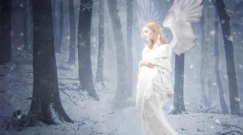 GAYLE - snow angels