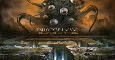 Psilocybe Larvae - Into the Labyrinth