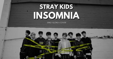 Stray Kids - Insomnia