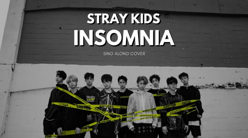 Stray Kids - Insomnia