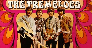 The Tremeloes - Suddenly You Love Me