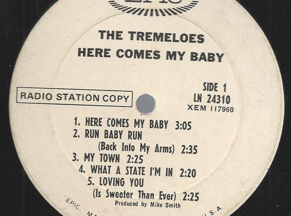 The Tremeloes - Here Comes My Baby