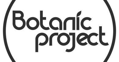 Botanic Project - Воздушный шар