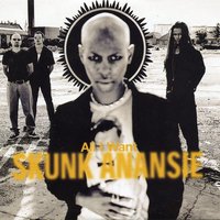 Skunk Anansie - All I want