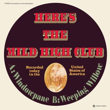 Mild High Club- Windowpane