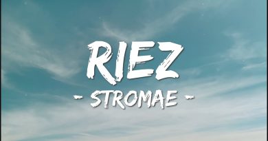 Stromae - Riez