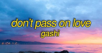 GASHI - Don't Pass On Love