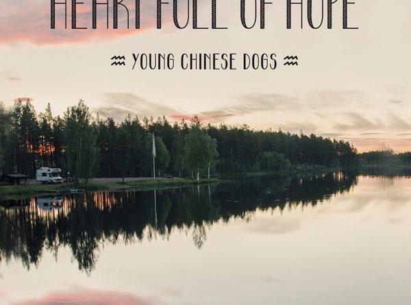 Young Chinese Dogs - Young at Heart