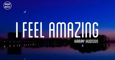 Harry Hudson - I Feel Amazing
