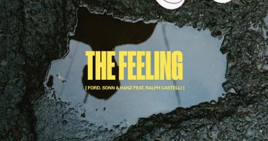 Ford., Sonn, Hanz, Ralph Castelli - The Feeling