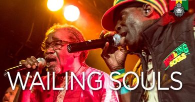 Wailing Souls - Whay is your meaning