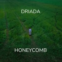 DRIADA - Honeycomb