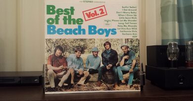 The Beach Boys - Child Of Winter