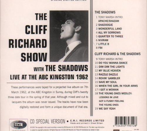 Richard & The Shadows - A Girl Like You