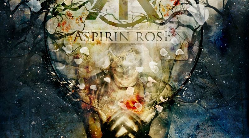 Aspirin Rose -Sunshine
