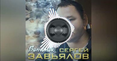 Сергей Завьялов - Волчонок