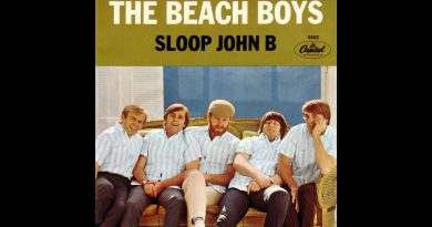 The Beach Boys - When I Grow Up (To Be A Man)