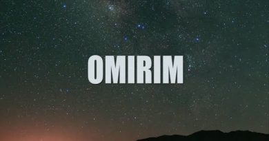 Synthbat - Omirim