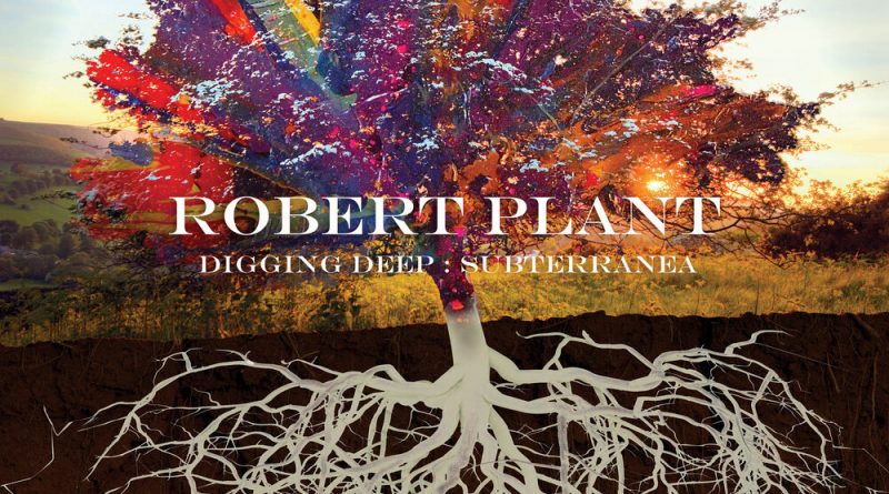 Robert Plant - Big Log