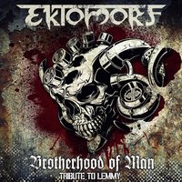 Ektomorf - Emotionless World
