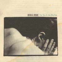 Iron & Wine - The Night Descending Album