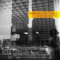 Wilco - Unlikely Japan