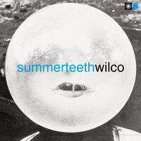Wilco - She's a Jar