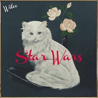 Wilco - You Satellite