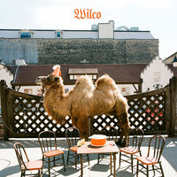Wilco - Deeper Down