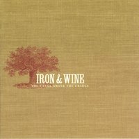 Iron & Wine - Bird Stealing Bread