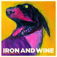 Iron & Wine - Pagan Angel and a Borrowed Car