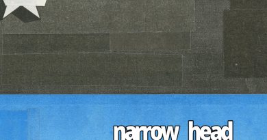 Narrow Head - The Real