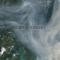Damien Jurado - Coats Of Ice
