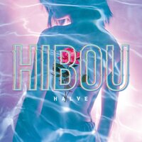 Hibou - Fall Into