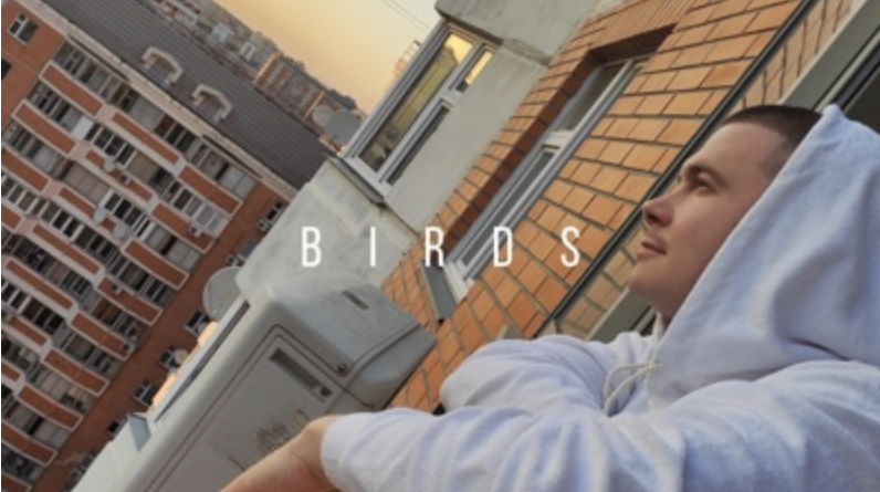 Gangsburg — Birds
