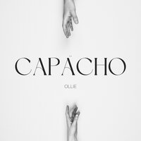 Ollie - Capacho