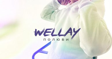 Wellay - Полюби