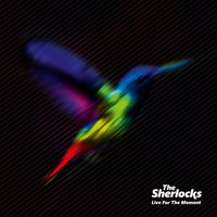 The Sherlocks - Motions