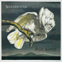 Shearwater - Nobody