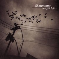 Shearwater - A Makeover
