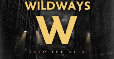 Wildways - Don't Give up Your Guns