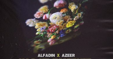 Alfadin, AZEER - Нас не поменять