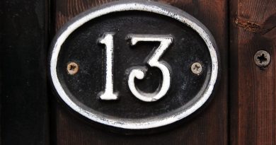 Номер 13 — Страх, боль и придурки