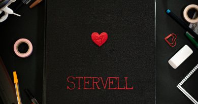 STERVELL, Кураж-Бамбей - Diaries of Your Heart