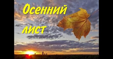 Светлана Копылова — Осенний лист