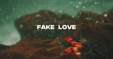 SEA - fake love