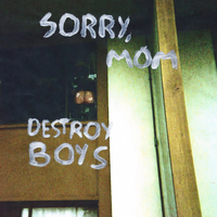 Destroy Boys - I Threw Glass at My Friend's Eyes and Now I'm on Probation